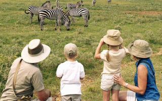 How to get the most out of my safari