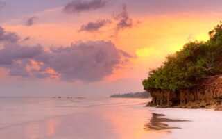 8 Days Conservation safari and beach holiday