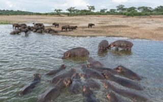 Exploring the hidden gems of Lake Edward