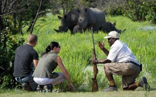 How to celebrate Hanukah on a safari