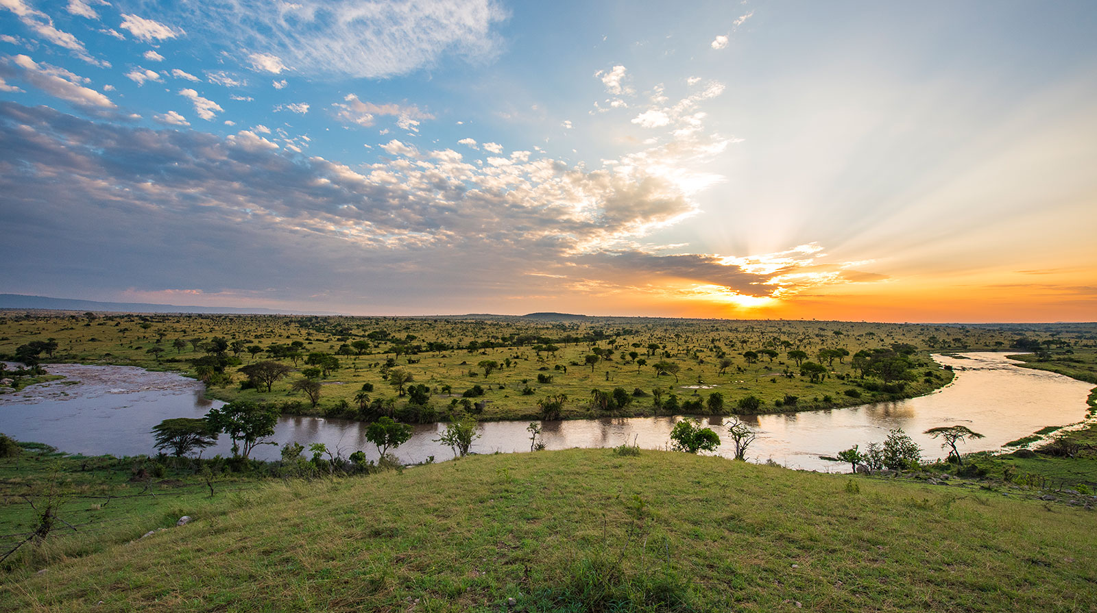 Mara River: Complete Guide to Kenya & Tanzania's Migration River 1 Mara River | Maasai Mara National Reserve | Kenya Safaris