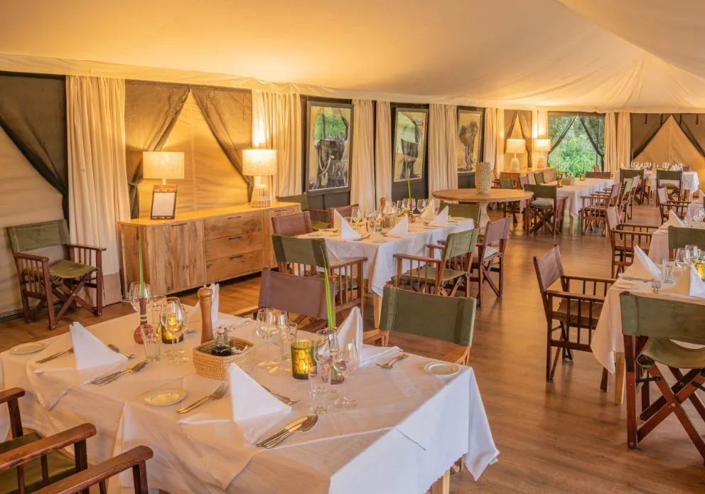 Governors Camp In Maasai Mara National Reserve